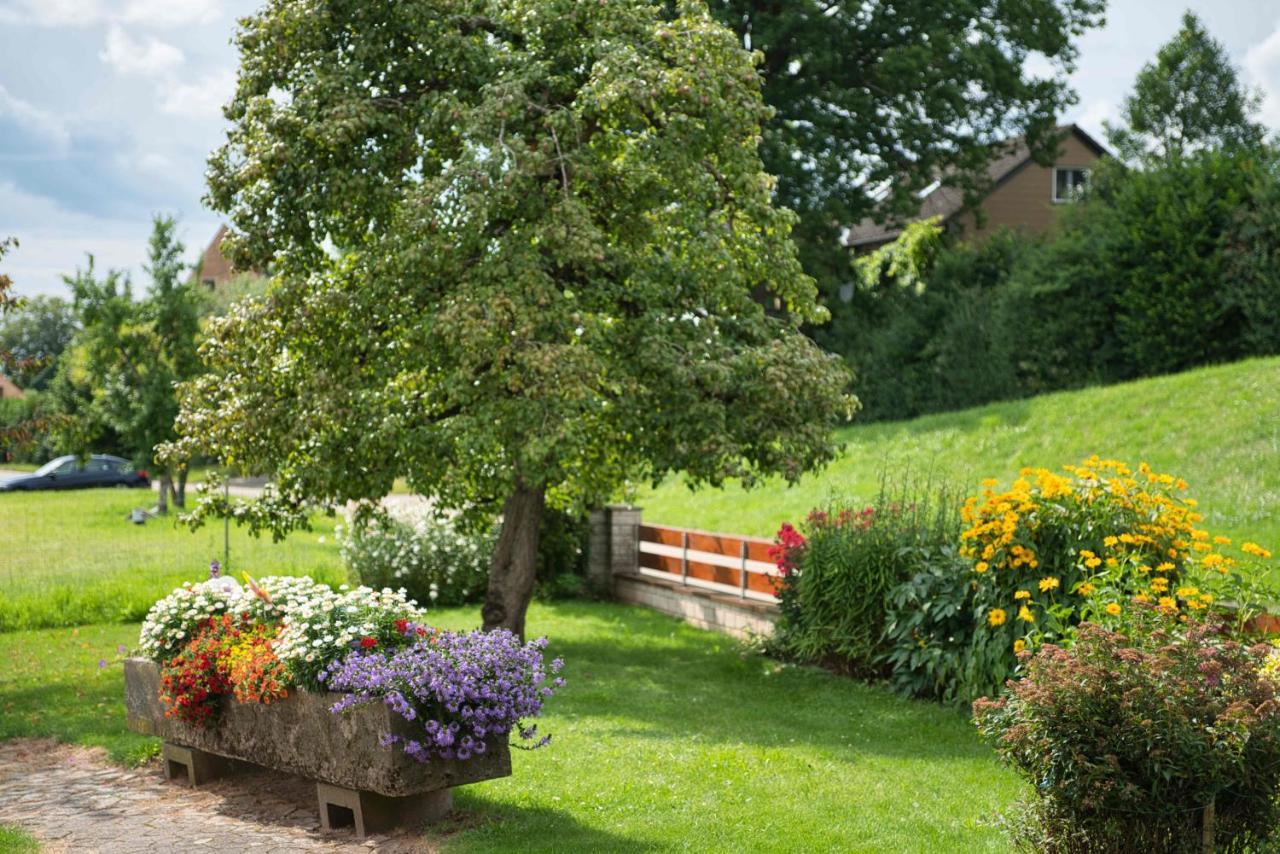 Ferienwohnung Werner Mit Terrasse Haundorf エクステリア 写真